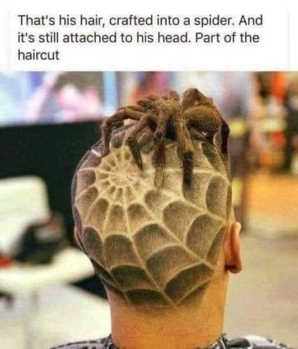 FB_IMG_1679671495533