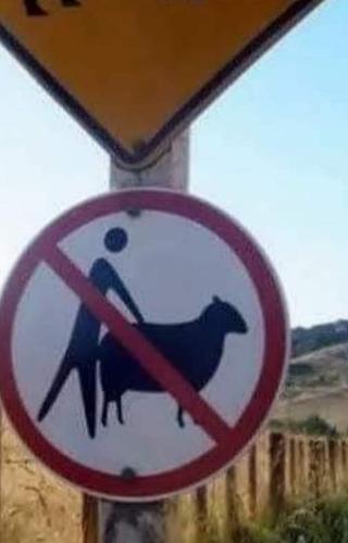 FB_IMG_1679943869509