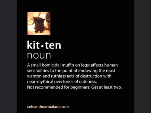 klitten