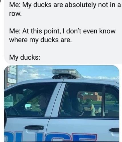 338148410_770137651135127_4356562380555004130_n