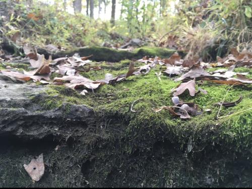 19:46:14 GMT-0600 (Central Standard Time).image