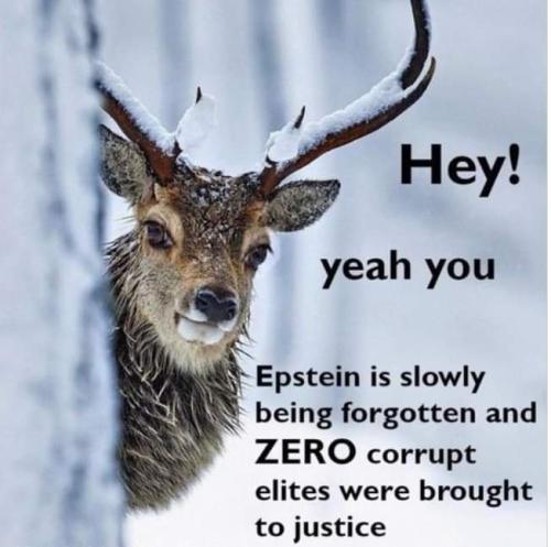 FB_IMG_1679154858760