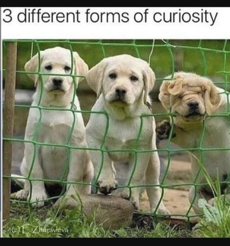 Screenshot_20230206_203825_YouTube