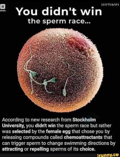 4285a0e4-3730-4c69-aa99-c97ae10e19bd