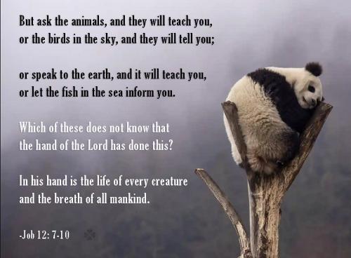 IMG_20230314_022415_571