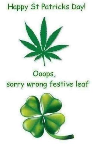 ab1bd9b5-dc17-4752-8818-514b80573ebf