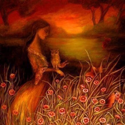 3-MonthSupply_728x90