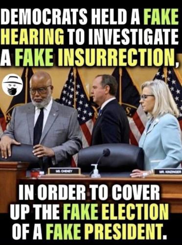 hold a fake hearing