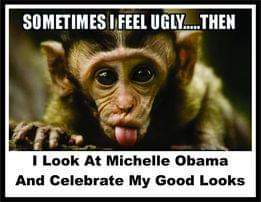 FB_IMG_1679283047980