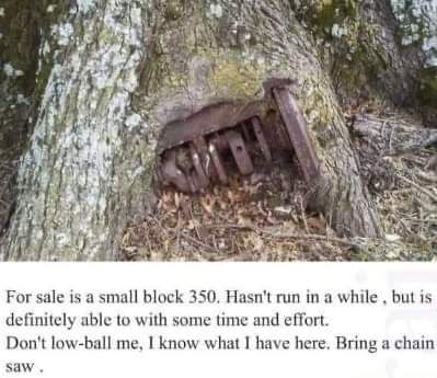 FB_IMG_1678733528838