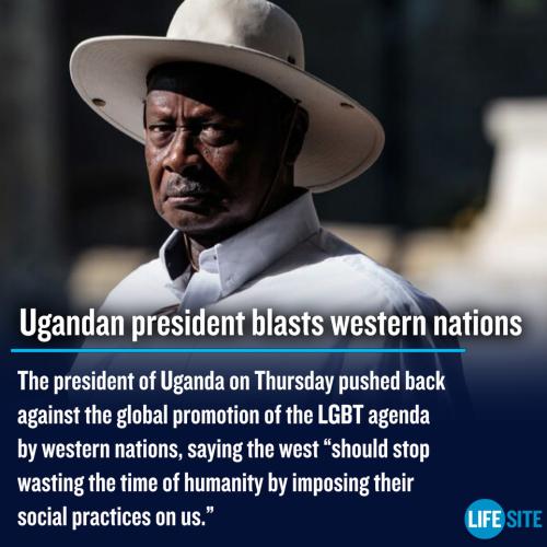 LGBT 1