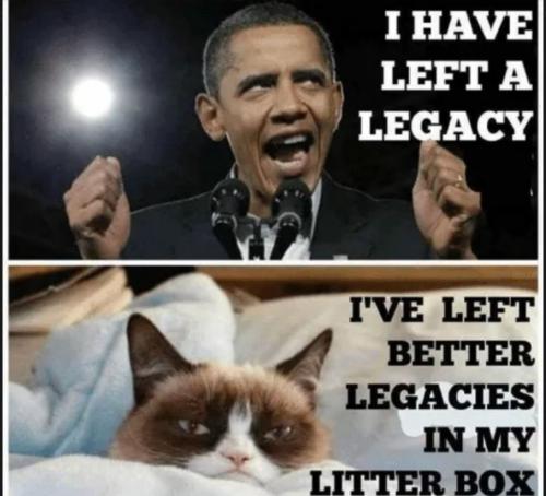 Screenshot_20230309_034349_Quora