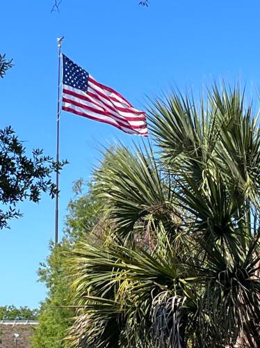 3B9777D5-46EC-4CE7-9932-4A0881EFC471