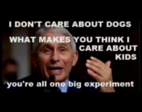 Screenshot_20230226_001805_Rumble