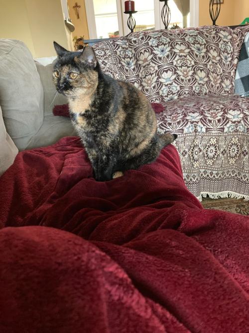 7F1AE2EC-A1F4-4981-B416-5FD946F45DE6