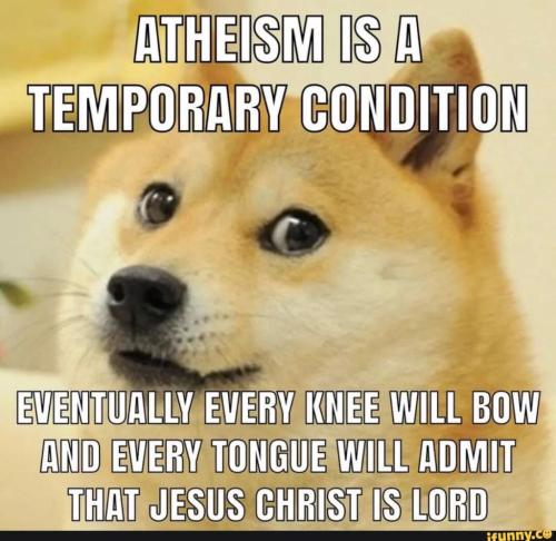 8b17ffba-e6a5-468d-b4c7-44781db695f0