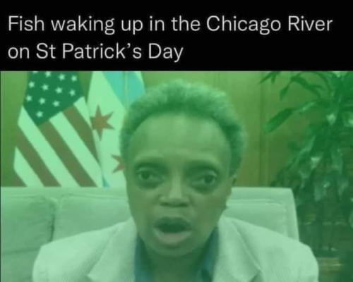 FB_IMG_1679065902237