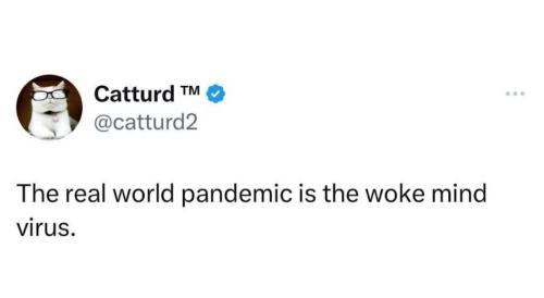 Screenshot_20230305_224359_YouTube