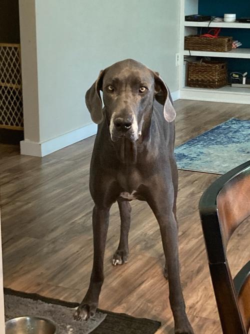 BA3055C3-4C49-48E7-BAC7-6C34DED426BD