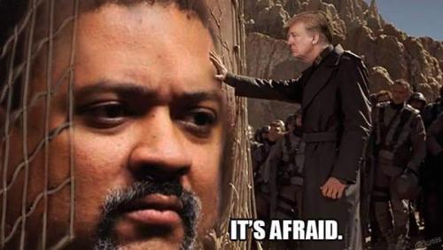 FB_IMG_1679672008309