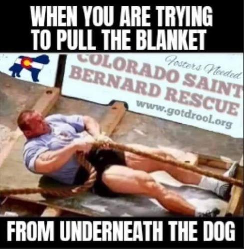 facebook_1614014456033_6769667289001089160