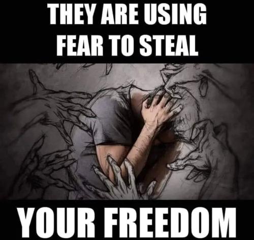 605f3181-0574-4aa1-85eb-14601af9995b