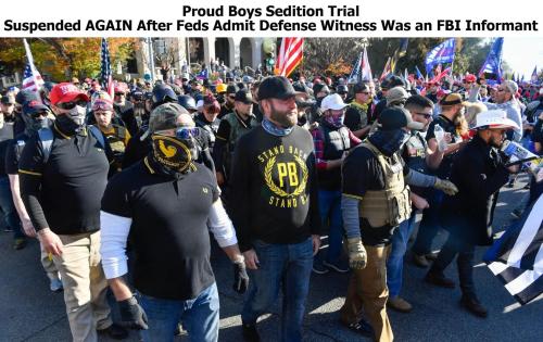Proud Boy sedition trial suspended