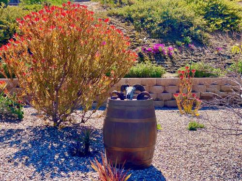 7DA00EDD-3C86-4DEB-B8EF-C828DB908C4F