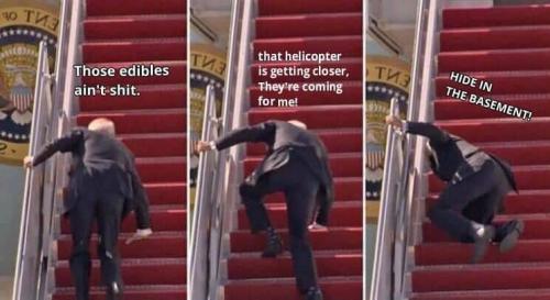 FB_IMG_1677878008171