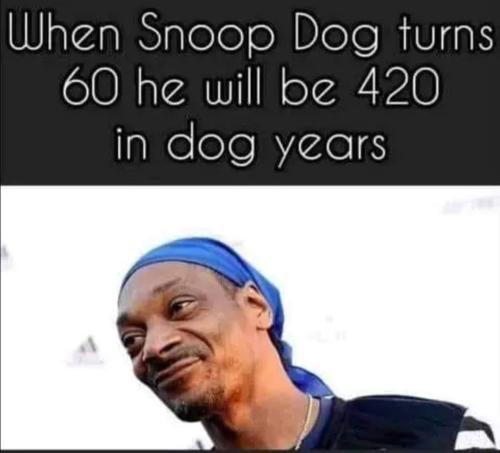 snoop dog