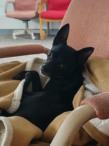 2b5ea348-268d-4570-978e-81fb52b19e20