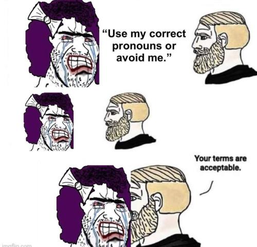 FB_IMG_1679565305747