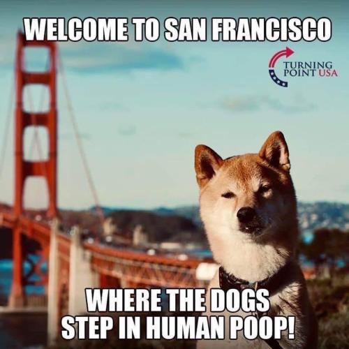 FB_IMG_1679939094769