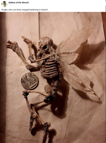 Screenshot_2023-02-11-03-54-19_kindlephoto-347404734