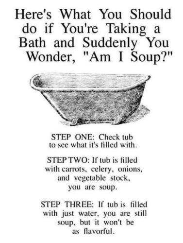 bath tub soup