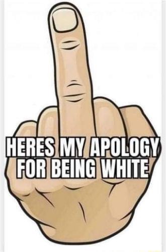 FB_IMG_1677726245467