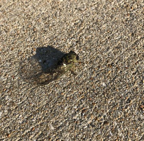 20:31:15 GMT-0600 (Central Standard Time).image