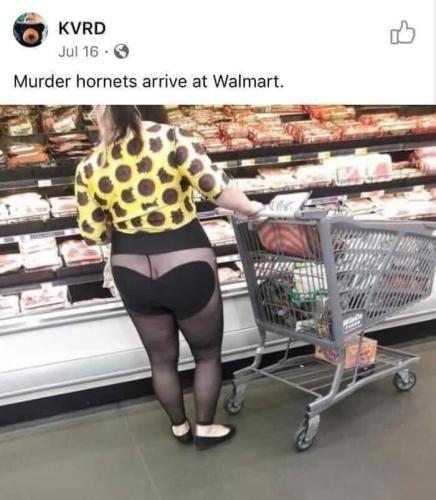 c7d51834-a108-428f-81e6-f3b48a79ac2b