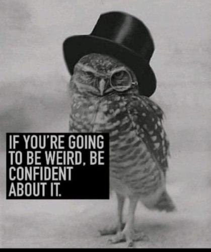 337249926_1350633942458669_5708637293197418460_n