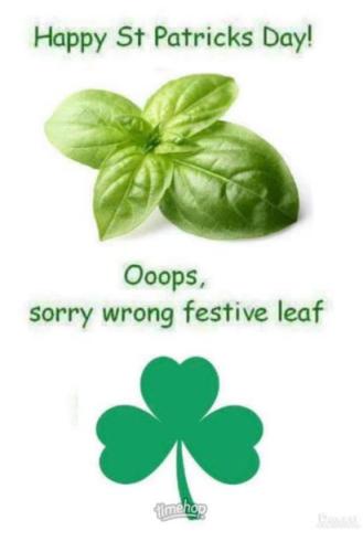 336531043_162971966615160_3179065478168774017_n