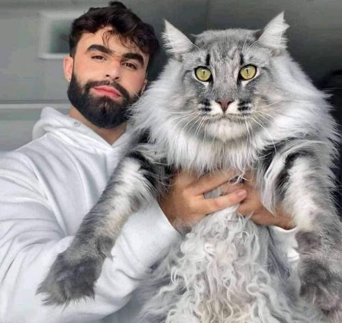 FB_IMG_1678850607493