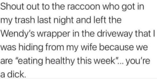 shout out to the raccoon