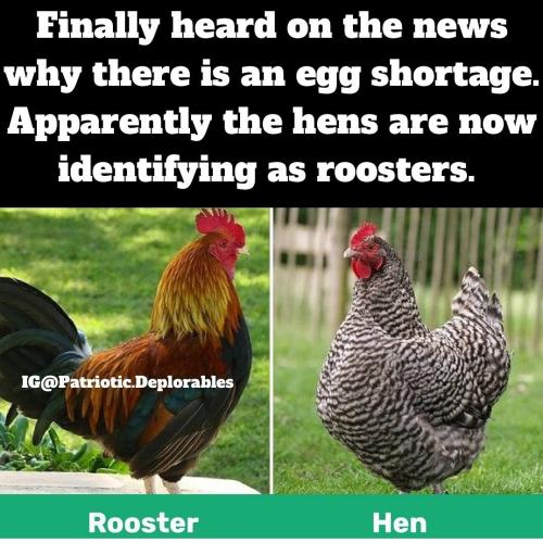 Screenshot_20230315_093613_Instagram