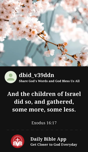 2023-03-091678426321652