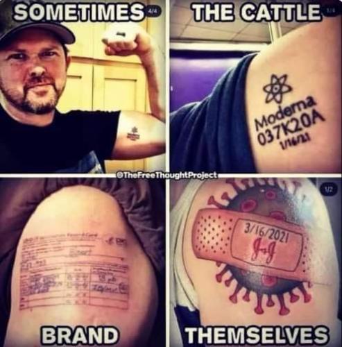 FB_IMG_1677694839051