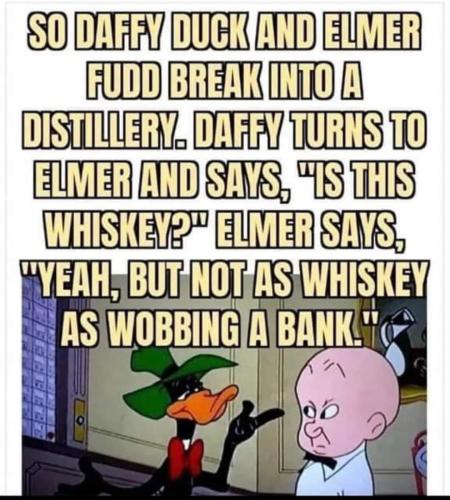 FB_IMG_1677698278565