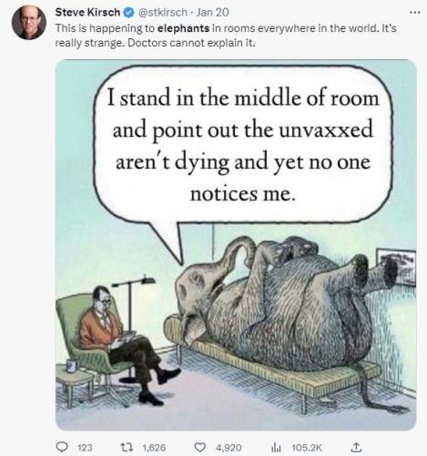 elephant in room