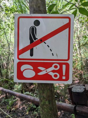 FB_IMG_1678127752664