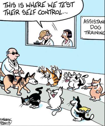 FB_IMG_1678059643609