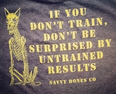 IMG_20230317_051239_779